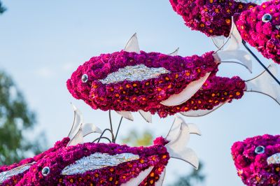 Foto's gondelvaart 2024