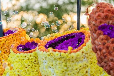 Foto's gondelvaart 2024