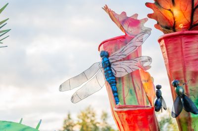 Foto's gondelvaart 2024