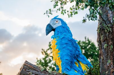 Foto's gondelvaart 2024